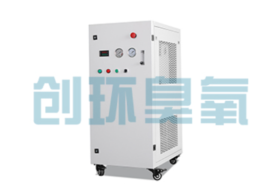聊城石斑鱼养殖水质调控完整指南：臭氧发生器配置与操作步骤