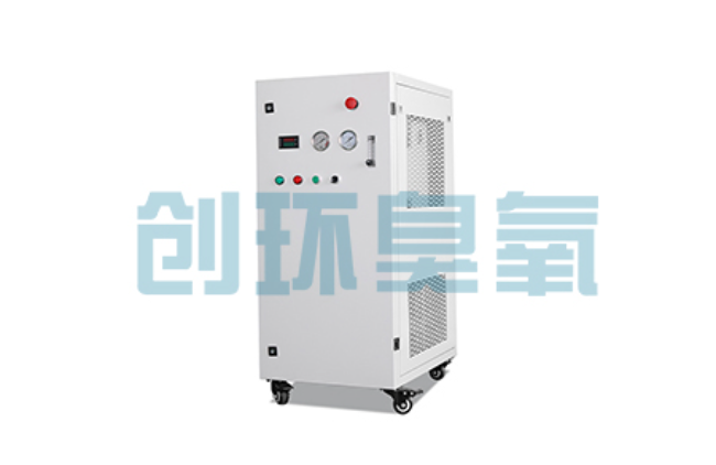 聊城比传统换水更高效？臭氧发生器在石斑鱼养殖中的水质净化原理解析